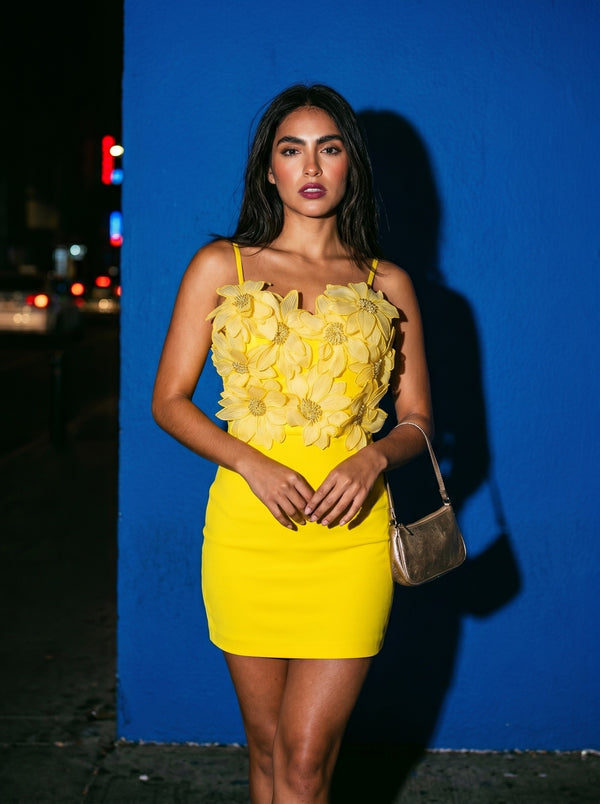 Blooming Petal Corsage Mini Dress